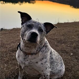 Meet your Posher, Caleb